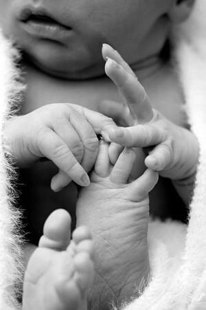 Black and white close-up of a newborn baby's tiny hands and feet, showcasing delicate fingers and toes.