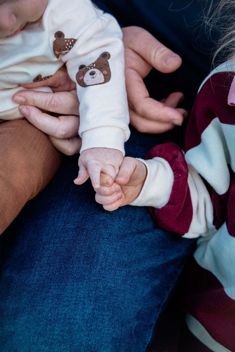 Two babies in bear and burgundy outfits holding hands while sitting on an adult's lap in blue jeans.