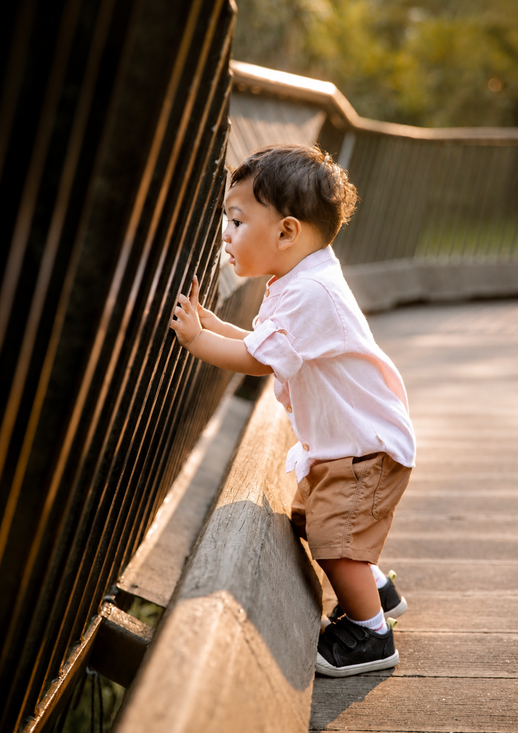 Toddler boy in pink shirt and tan shorts standing on a wooden bridge, peering through metal railings.