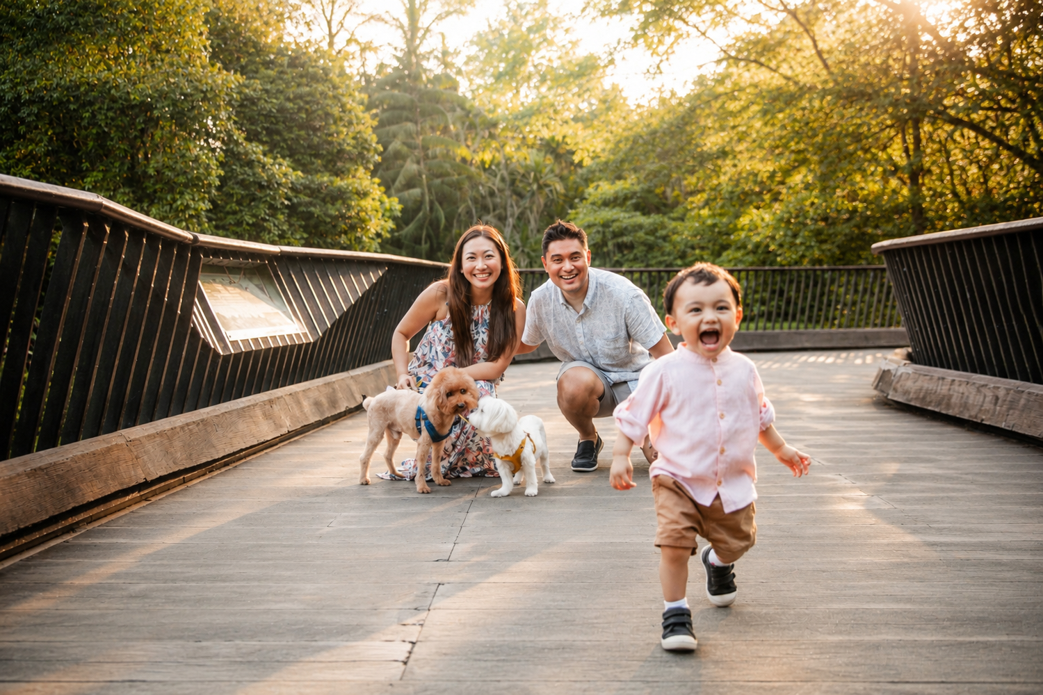 Happy family with two small dogs watching their laughing toddler run on a sunlit wooden bridge.