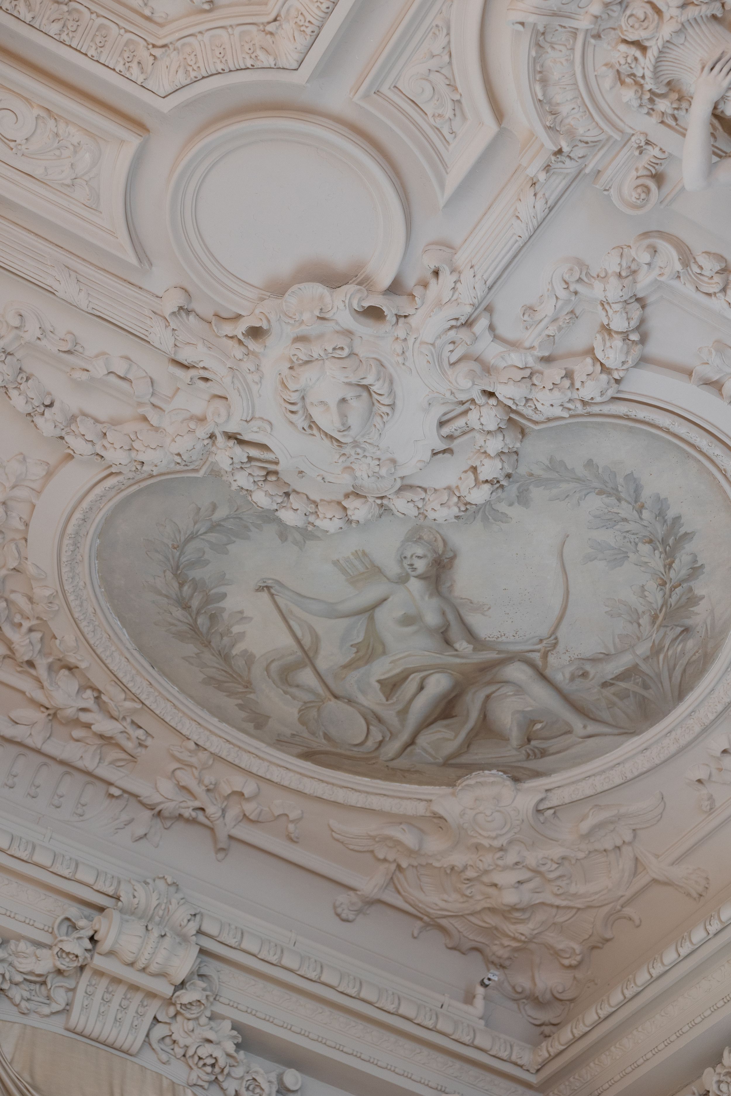 Ornate Baroque ceiling with intricate plasterwork, floral motifs, and a central oval fresco depicting a classical figure with a lyre.