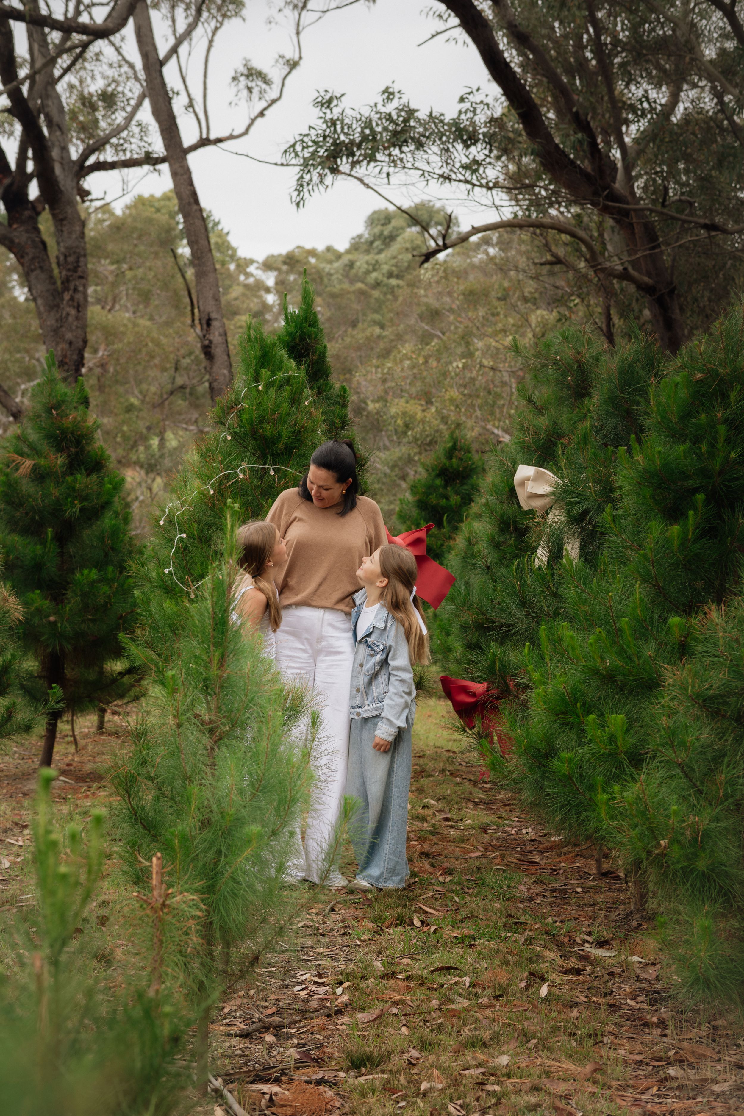 A mother and two children walk between rows of Tomalong Christmas trees at a pine tree farm surrounded by gum trees in Australia.