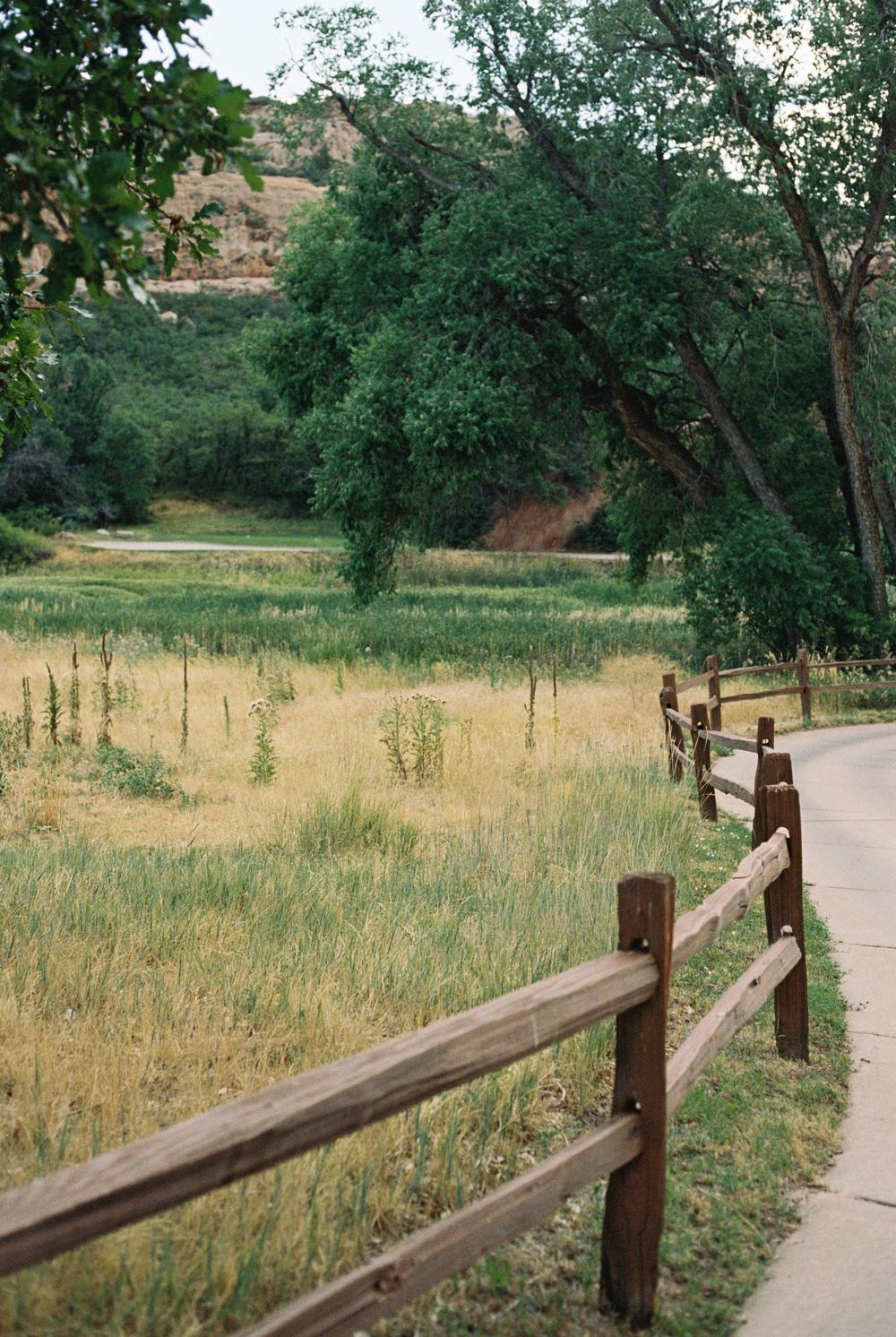 A curved paved path lined with a rustic wooden split-rail fence winds past a golden grass meadow, shady trees and distant rocky cliffs.