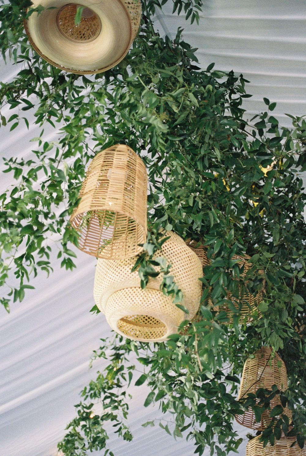Woven rattan pendant lamps hang from a draped white ceiling amid lush trailing green foliage, creating a natural boho event decor look.