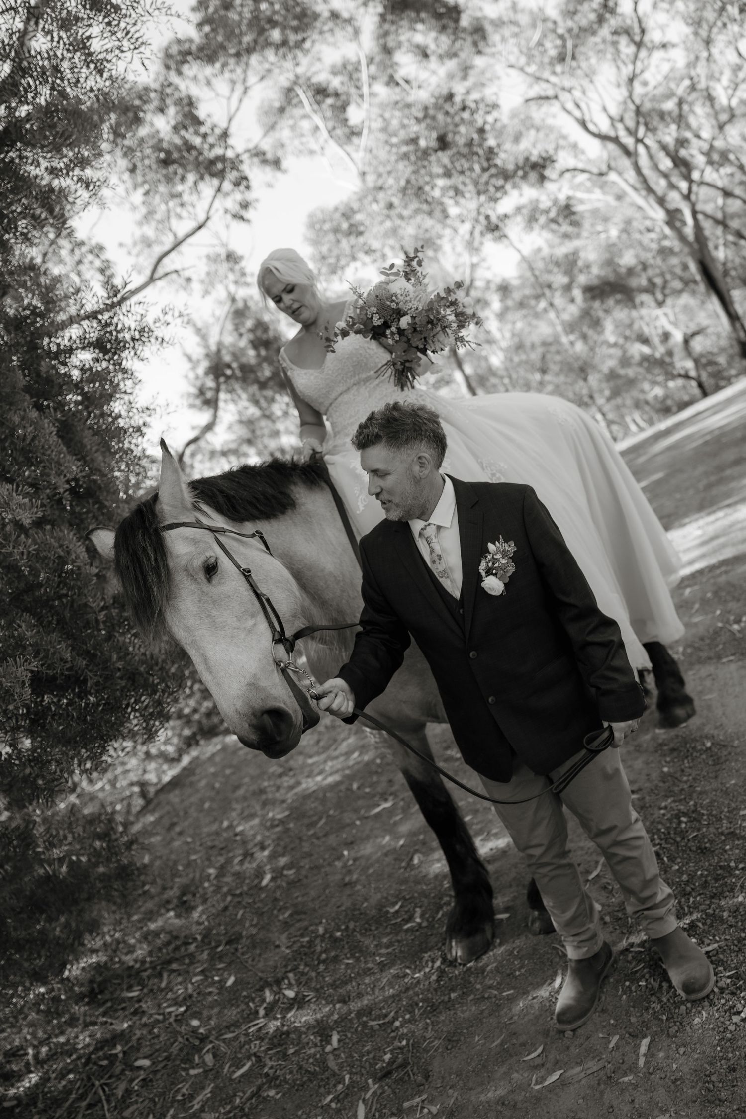 Black and white wedding photo of bride on white horse holding bouquet while groom leads horse through wooded area.