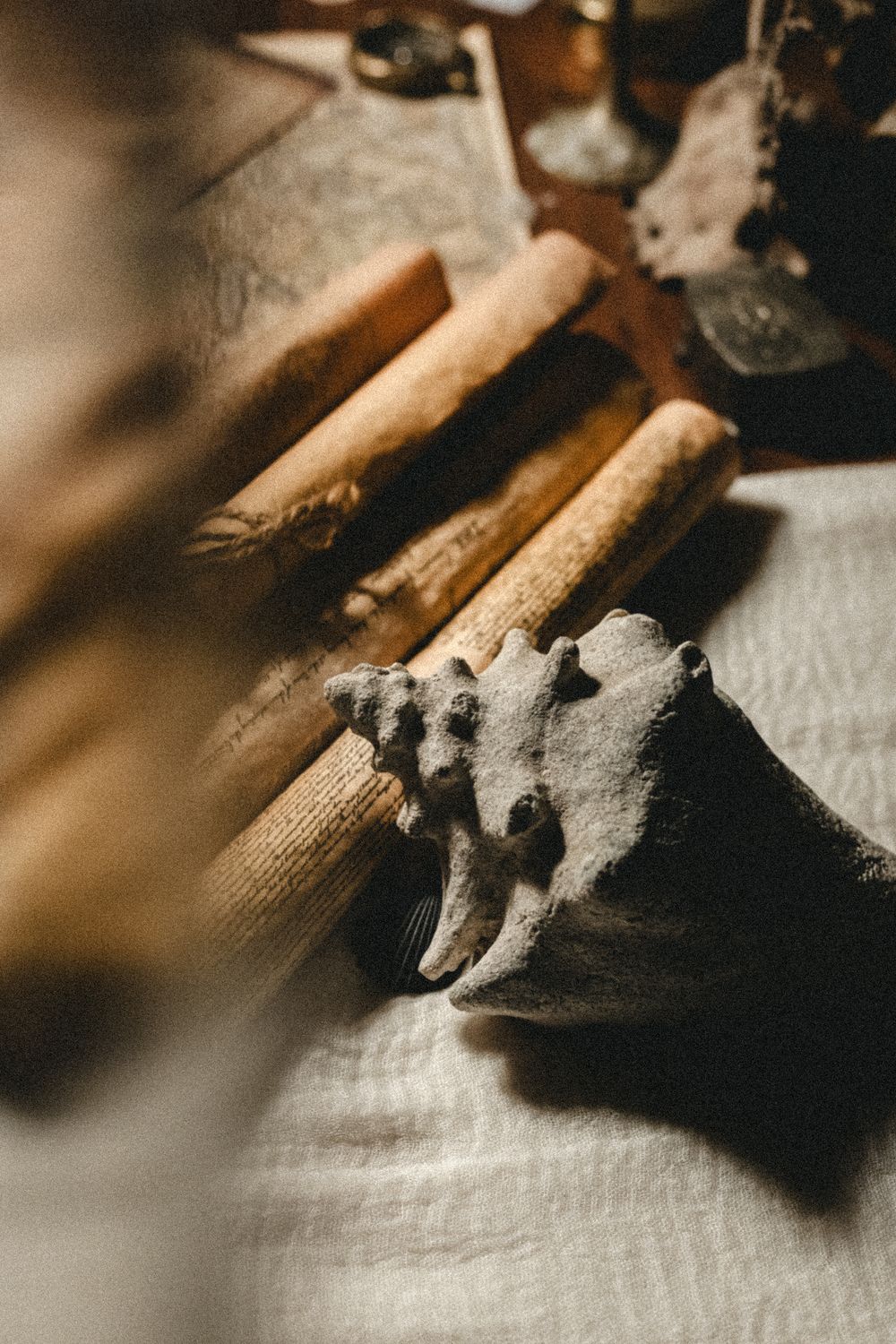 Close-up of cinnamon sticks and a small animal skull fossil on a white linen cloth in warm earthy tones.
