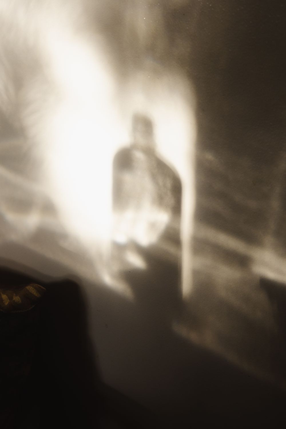 Eerie silhouette of a bottle casting dramatic light and shadow patterns on a wall in sepia tones.