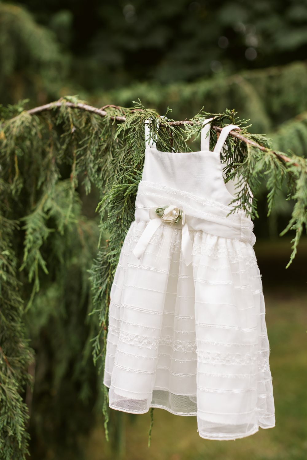 White lace flower girl dress with a floral sash hangs from evergreen cedar branch. Acadia Freeport York Maine wedding photographer