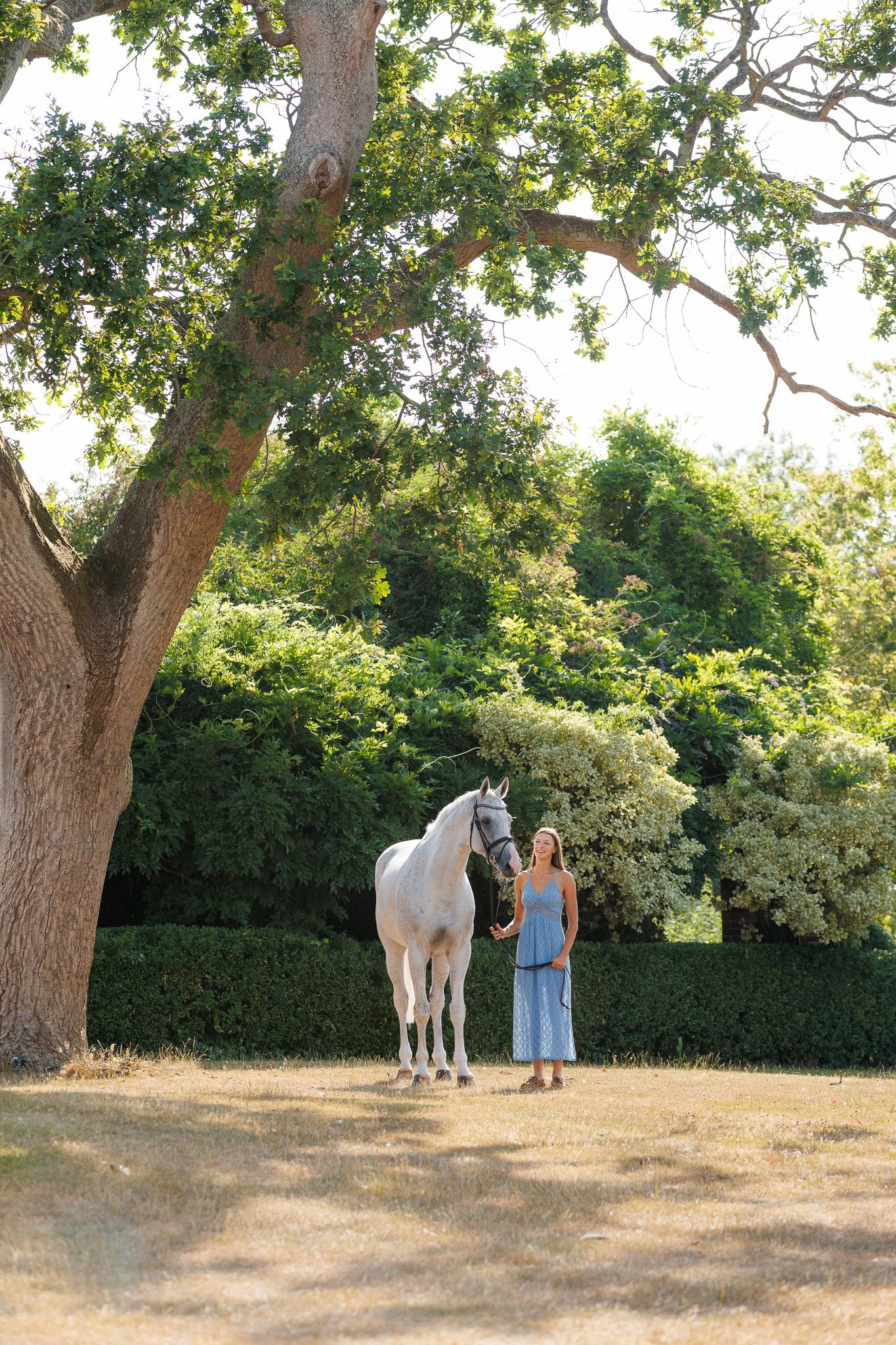Woman in a blue sundress standing beside a white horse under a large oak tree on a sunny grassy field with lush green hedges.