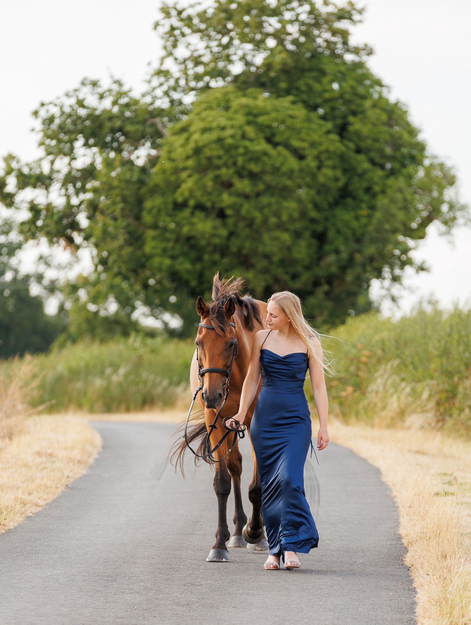 Woman in a long navy blue dress walking a bay horse along a quiet country lane lined with green trees and golden grass.