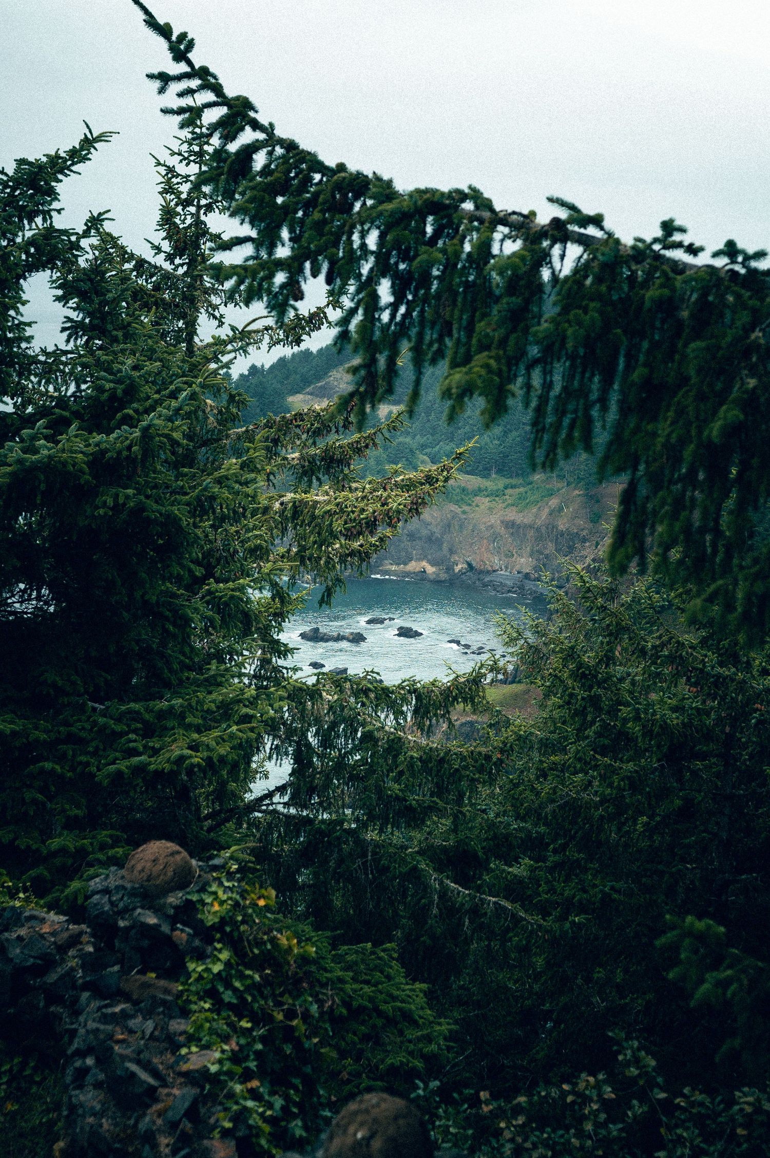 Otter Rock Lookout coastline. Oregon Coast Road trip travel photography - outdoor and wellness focused travel photography.