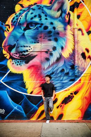 Vibrant street art mural featuring colorful tiger heads and flames against a dark background on a concrete wall.