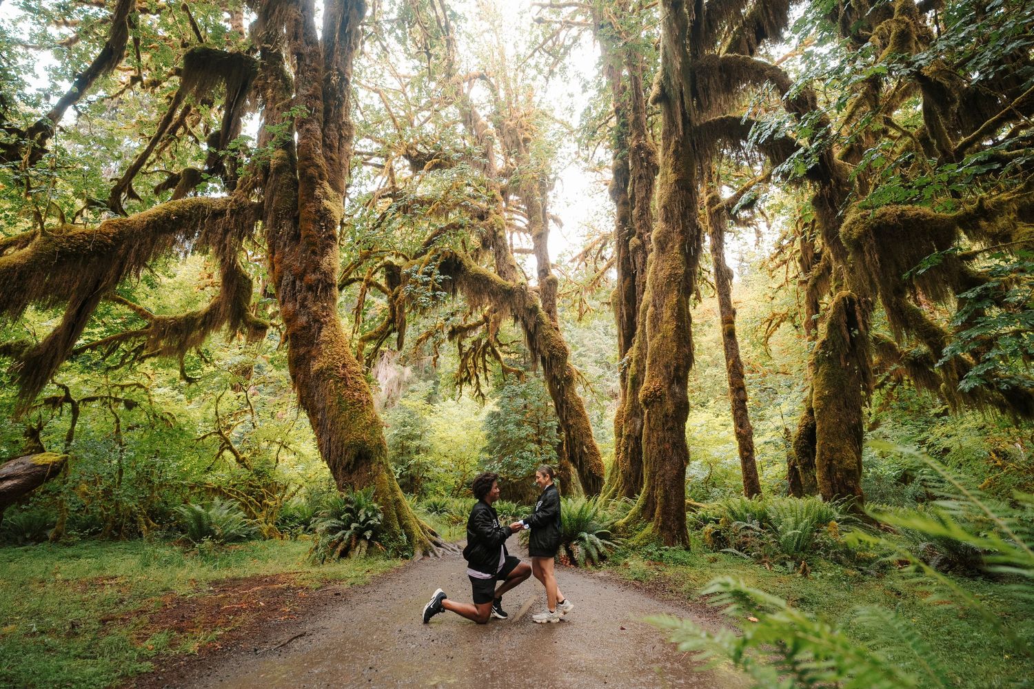 A person and their pet dog sit together on a scenic trail beneath tall evergreen trees in a peaceful forest setting.