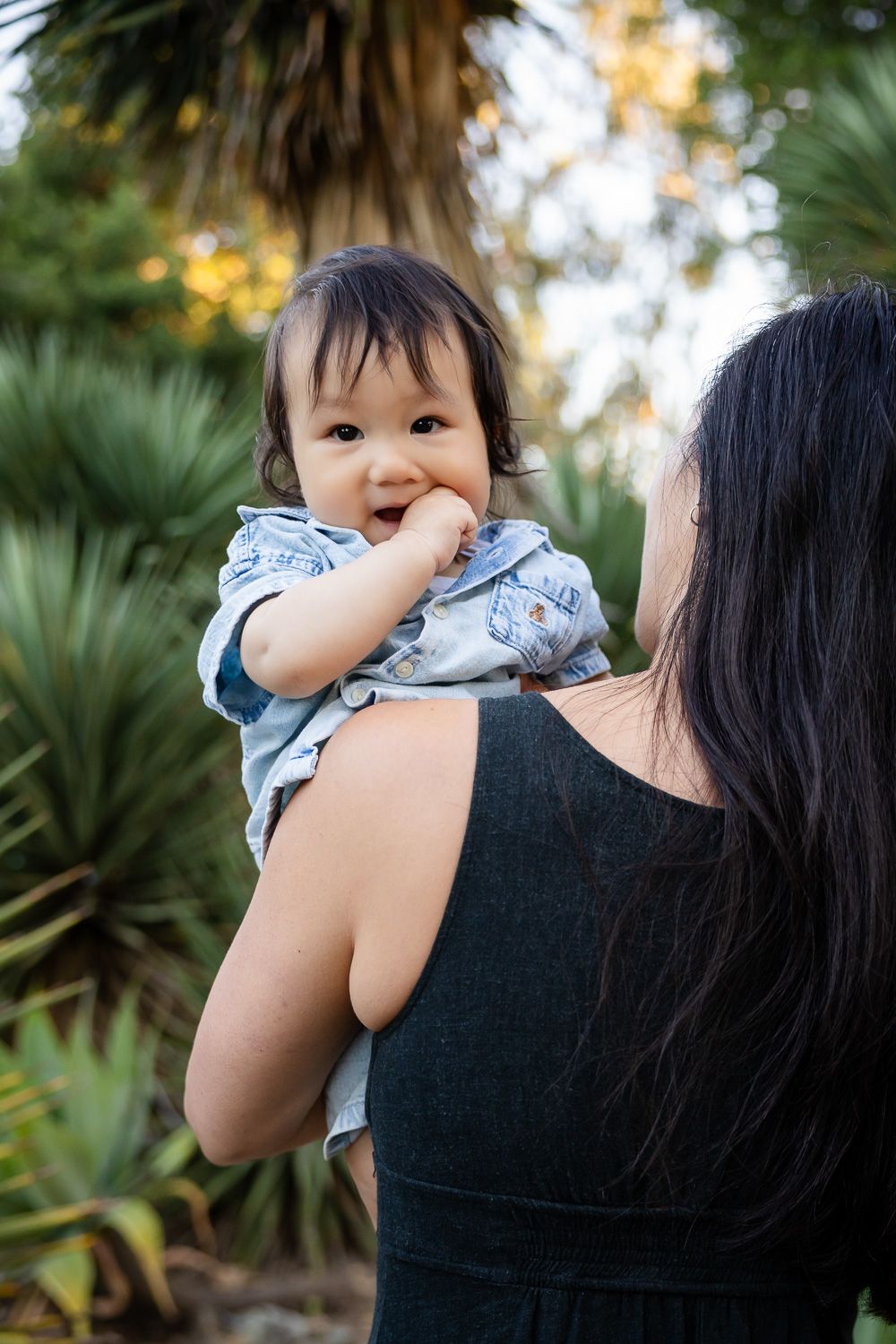 A smiling baby in a blue shirt peeks over his mom's shoulder at the cactus garden in Palo Alto.