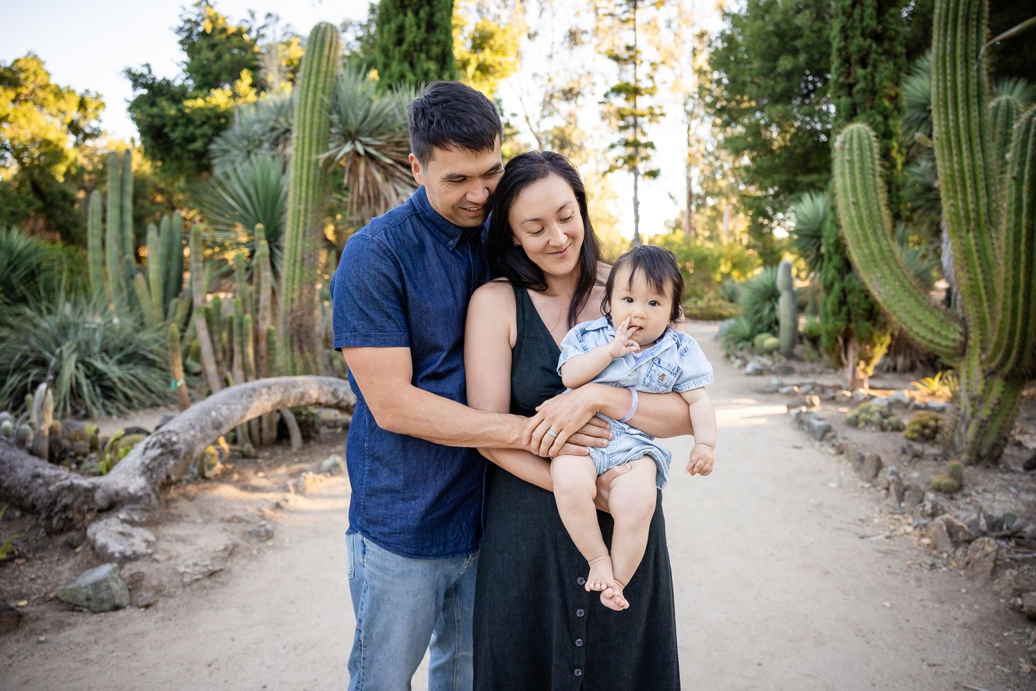 A young family with a baby poses among tall cacti at the Stanford cactus garden in Palo Alto for their milestone baby photography session.