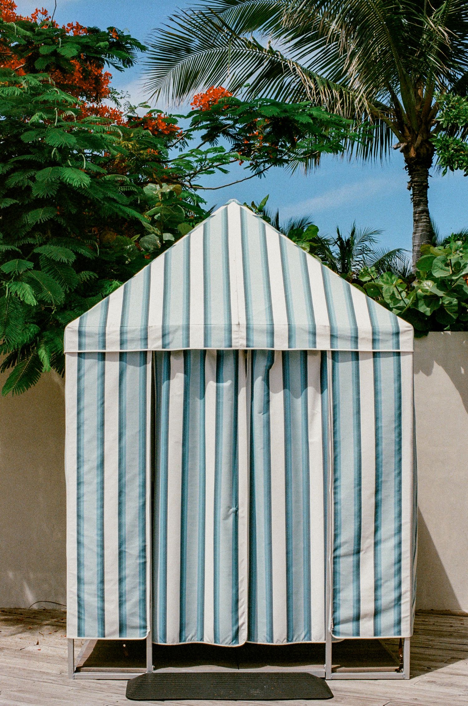 Blue and white striped beach cabana tent outdoors with tropical palm trees and red flowering tree in background.