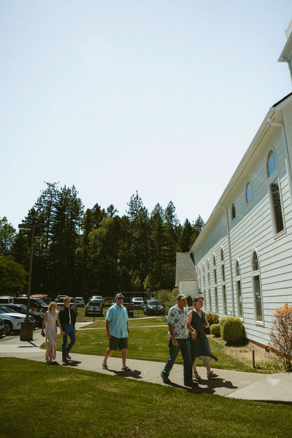 Group of people walking on a sunny path beside a white church building surrounded by tall pine trees.