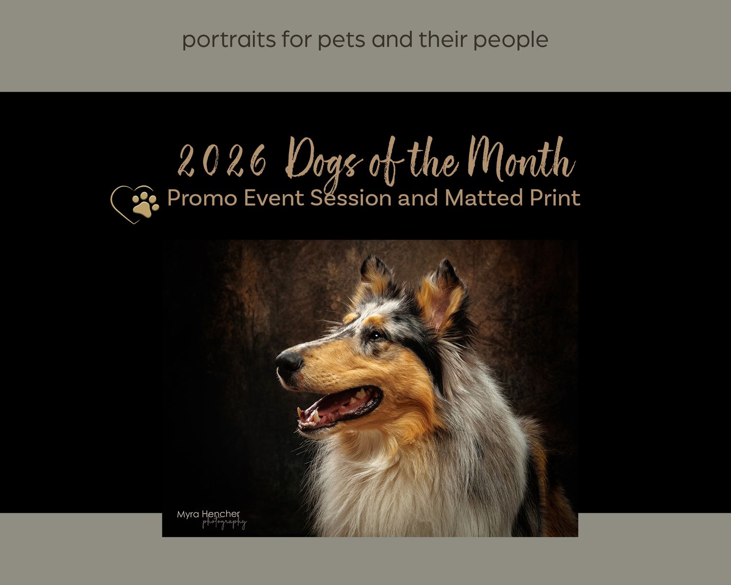 2026 Dogs of the Month promo event session and matted print advertisement featuring a portrait of a Collie dog.