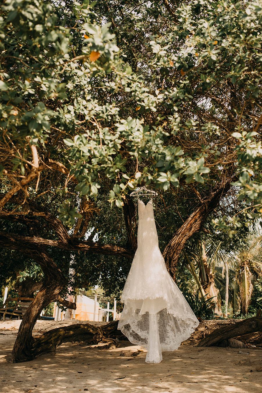 A white wedding dress with lace detail hangs gracefully from a tree branch outdoors on a sandy beach setting.