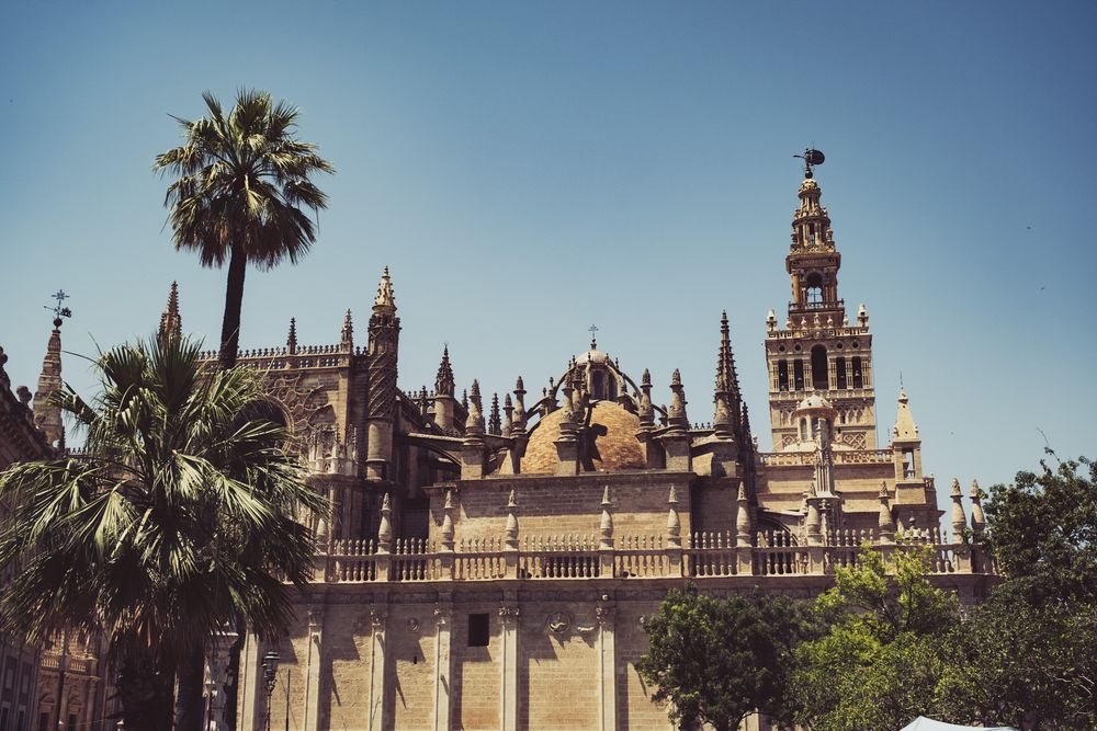 Seville Cathedral and Giralda tower framed by palm trees under a clear blue sky, Spain.