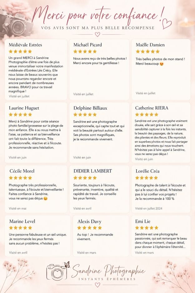 Avis google, séances grossesse, famille, festival, artisants.