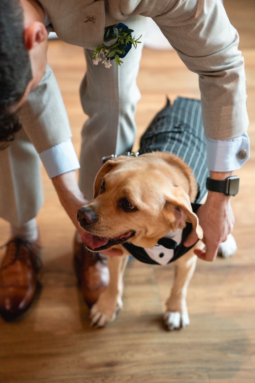 A golden Labrador dressed in a tuxedo outfit is petted by two men in suits at a wedding ceremony.