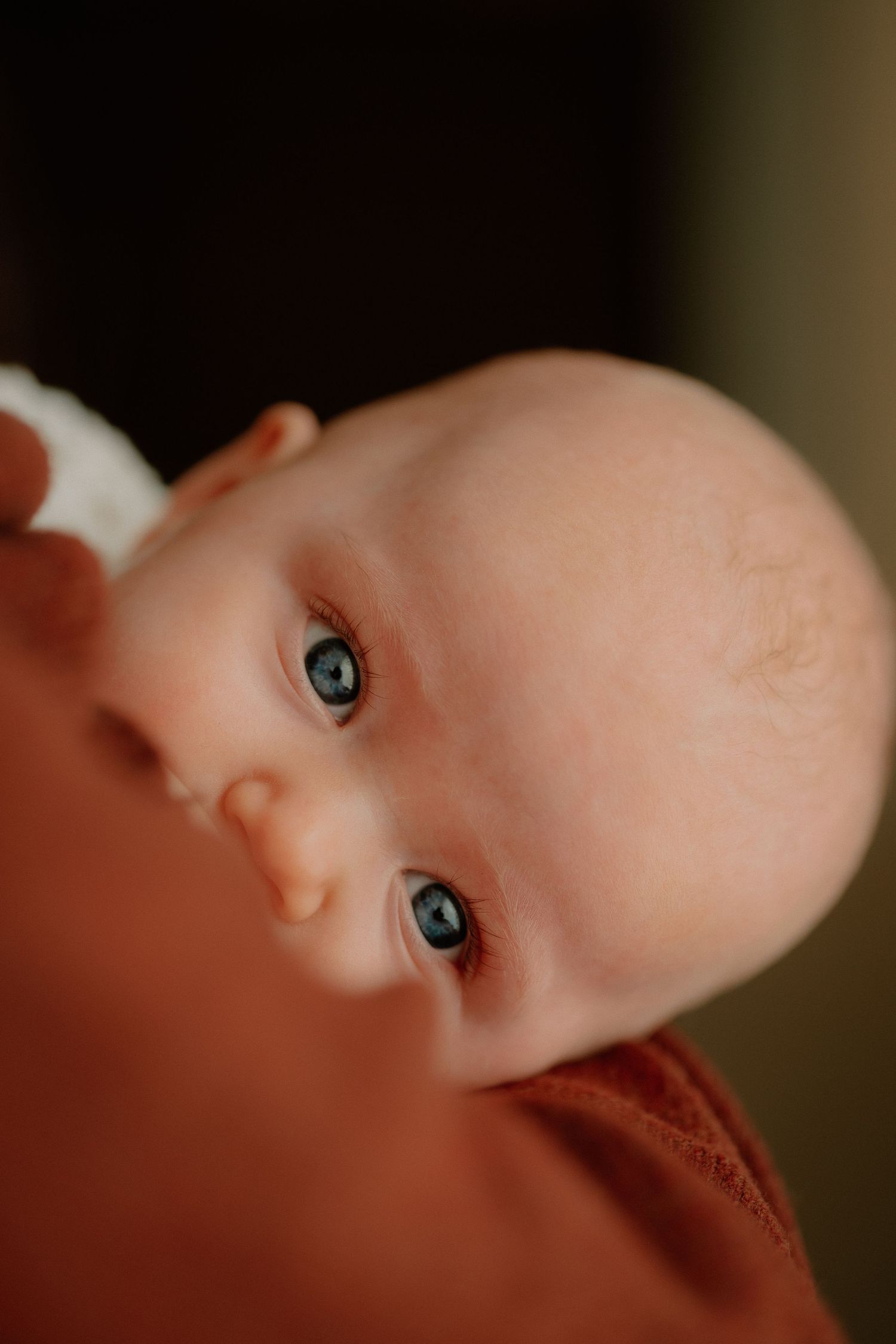 Close-up portrait of a newborn baby with blue eyes being held by a parent in a rust-colored shirt.