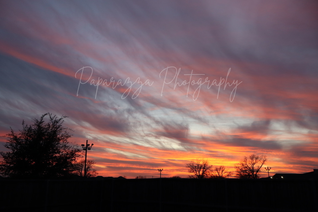 Vibrant sunset sky with pink and orange streaks over silhouetted trees and utility poles at dusk.