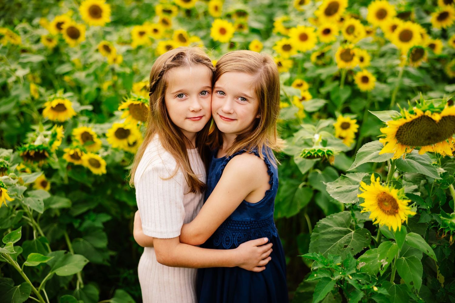 Sisters embrace captured in a vibrant sunflower field.  Arkansas Photographer
