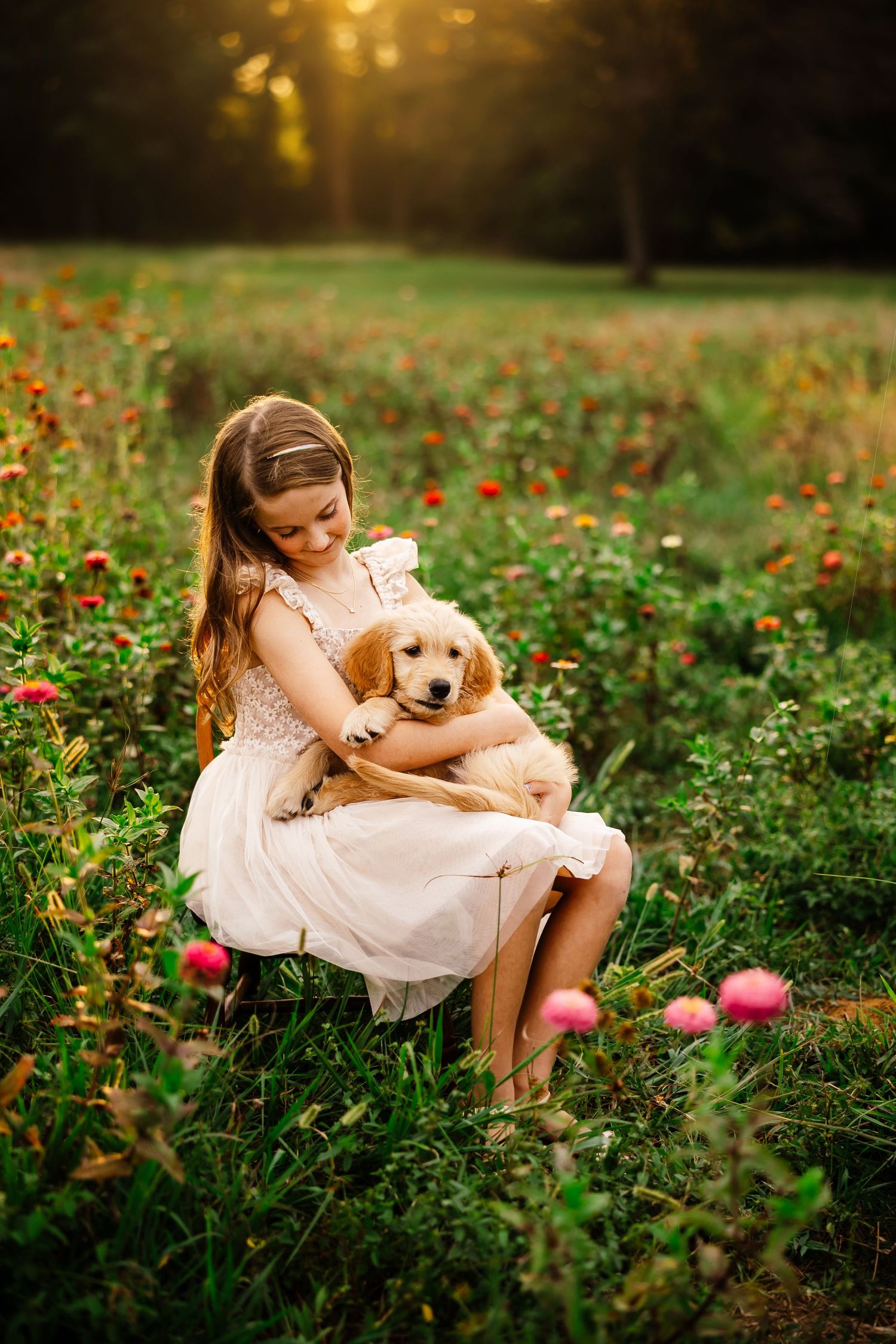 A girl in a flowy dress cuddles with a golden retriever puppy in a sunlit flower garden. Arkansas Photographer