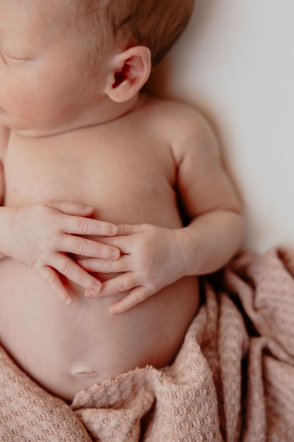 Close-up of newborn baby's torso with tiny hands resting on stomach against blush fabric. in Oostburg, WI  with Essence Rose Photography.