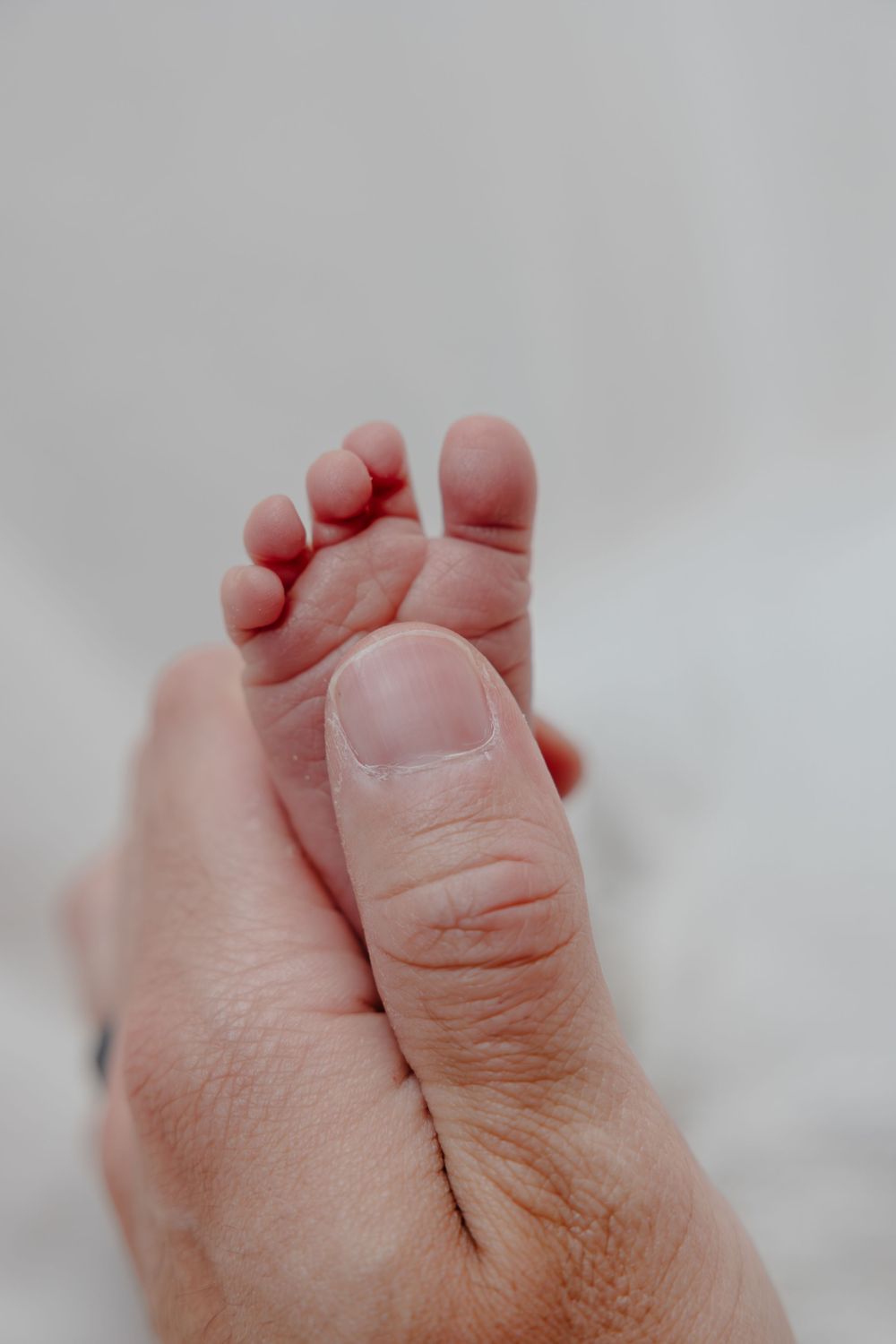 Close-up macro shot of tiny newborn baby feet on white background in Oostburg, Wisconsin  with Essence Rose Photography.