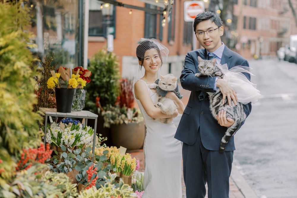 A wedding couple holding cats pose together by a sidewalk flower display.