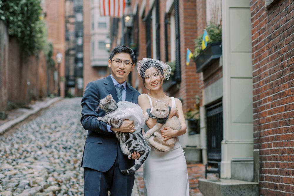 A wedding couple poses on a cobblestone street while holding their cats.
