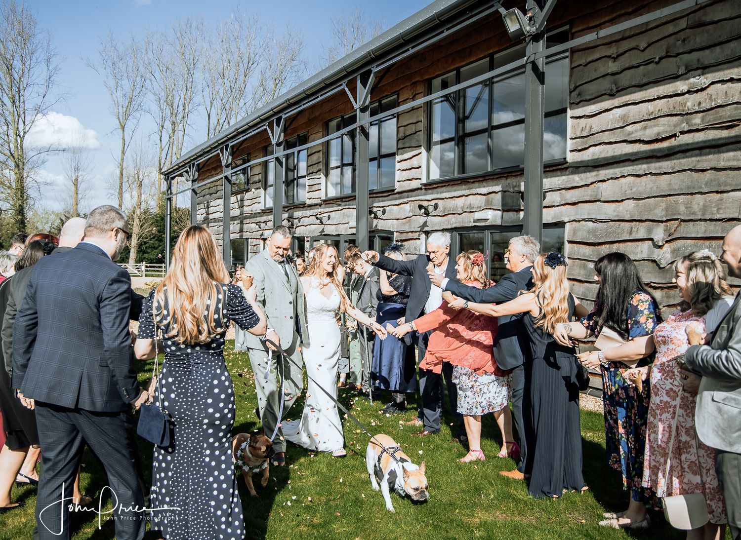 Wedding guests gathered outside a rustic log cabin with a small dog walking through the scene.