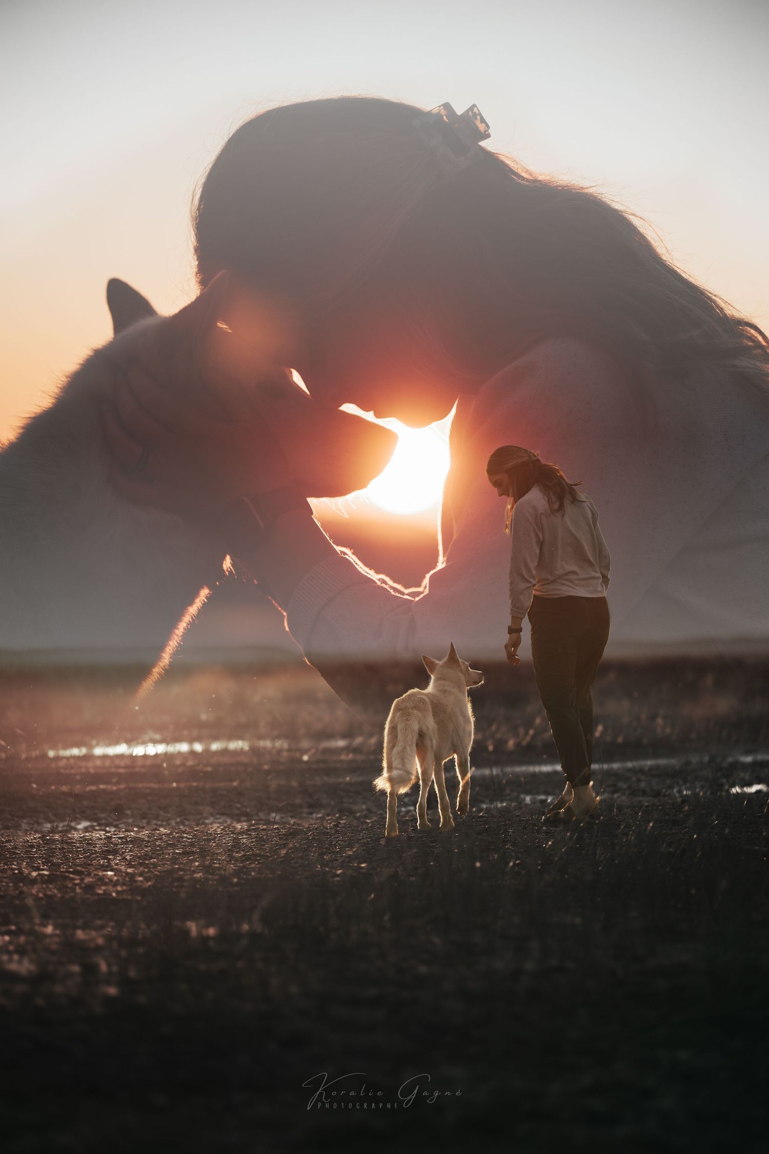 A person embracing a large horse in a dramatic sunset scene.