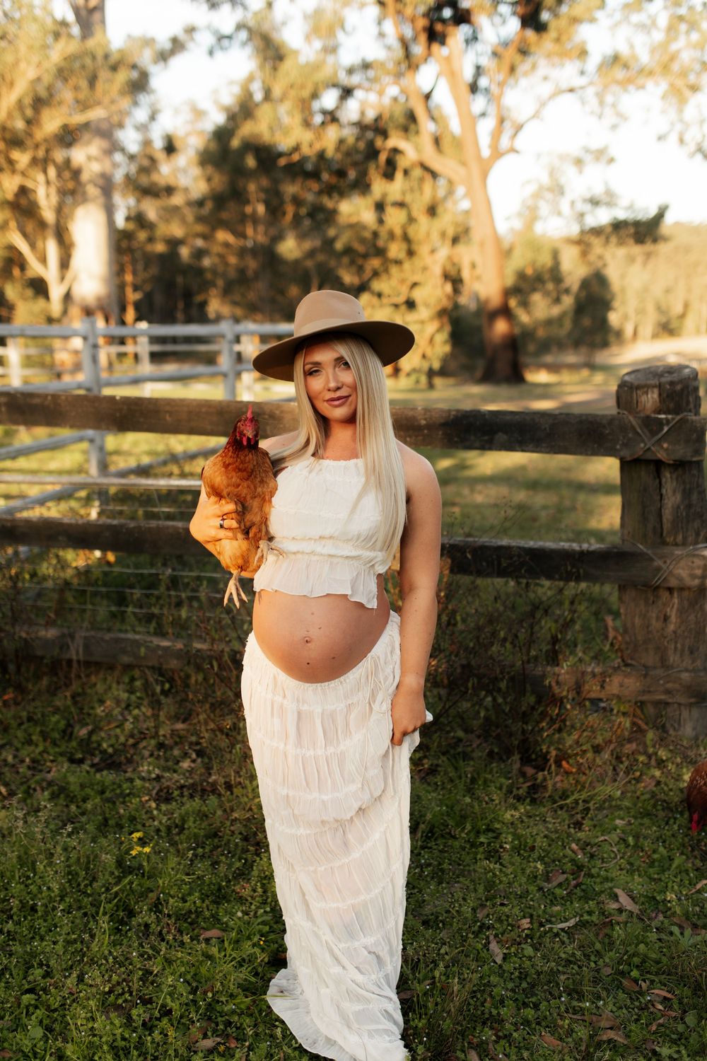 A maternity photo featuring a white dress and brown hat in a rustic farm setting with a chicken at sunset.