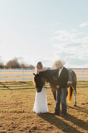 Bride and groom in wedding attire petting a dark horse in a sunny ranch setting with white fence in Eastern North Carolina
