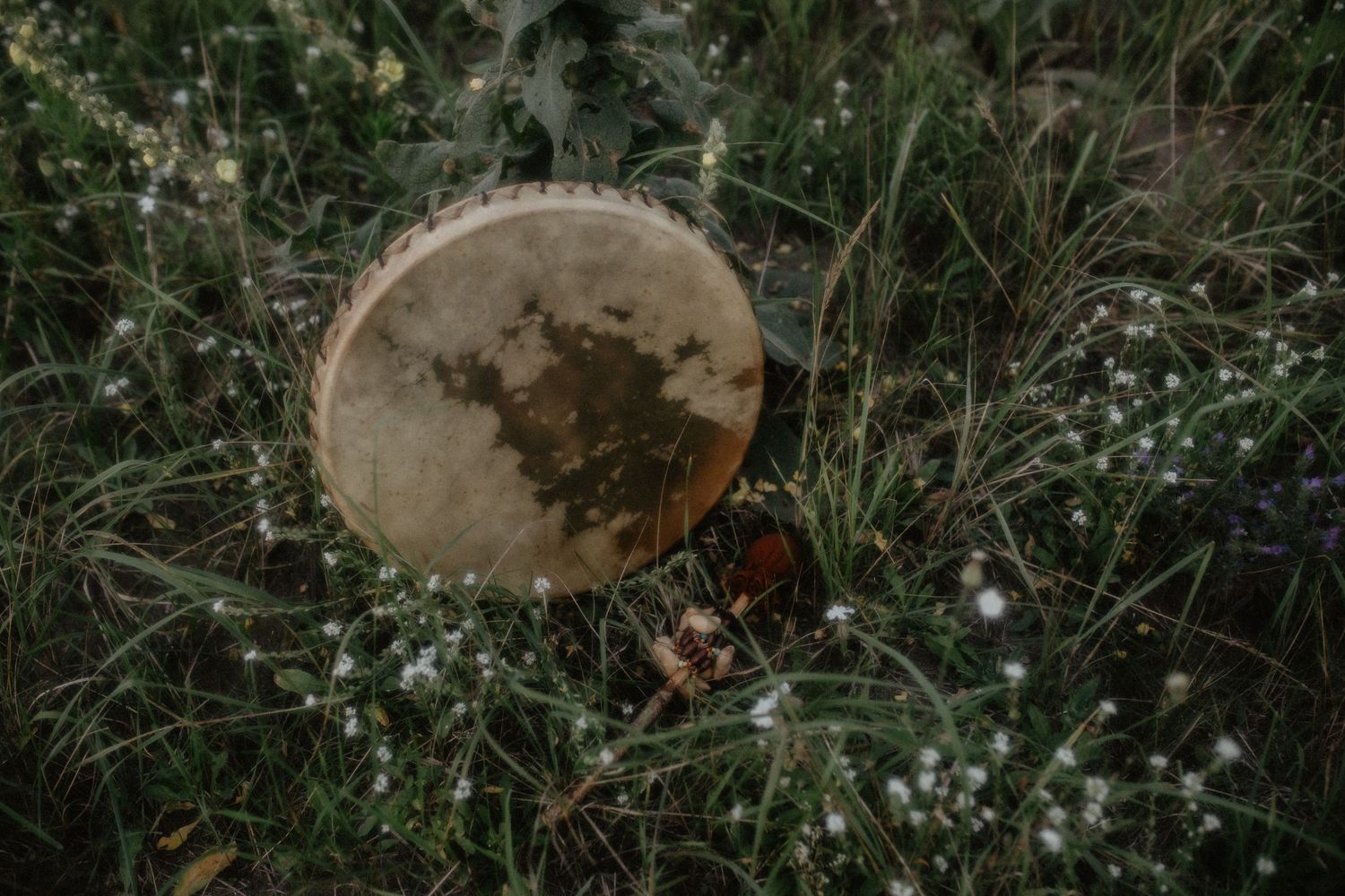 Schamanische Trommel in der Natur