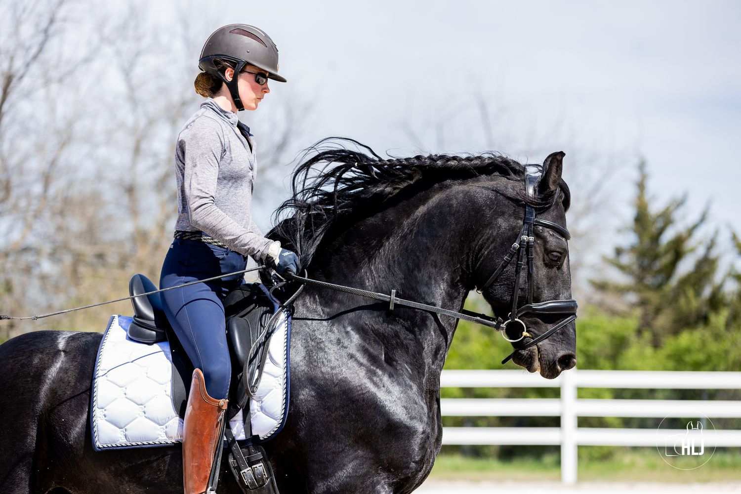Black dressage horse performing moves in outdoor arena.