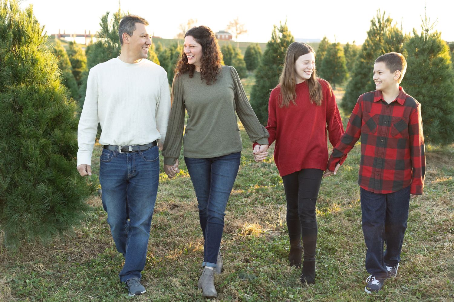 christmas tree farm session belleville illinois