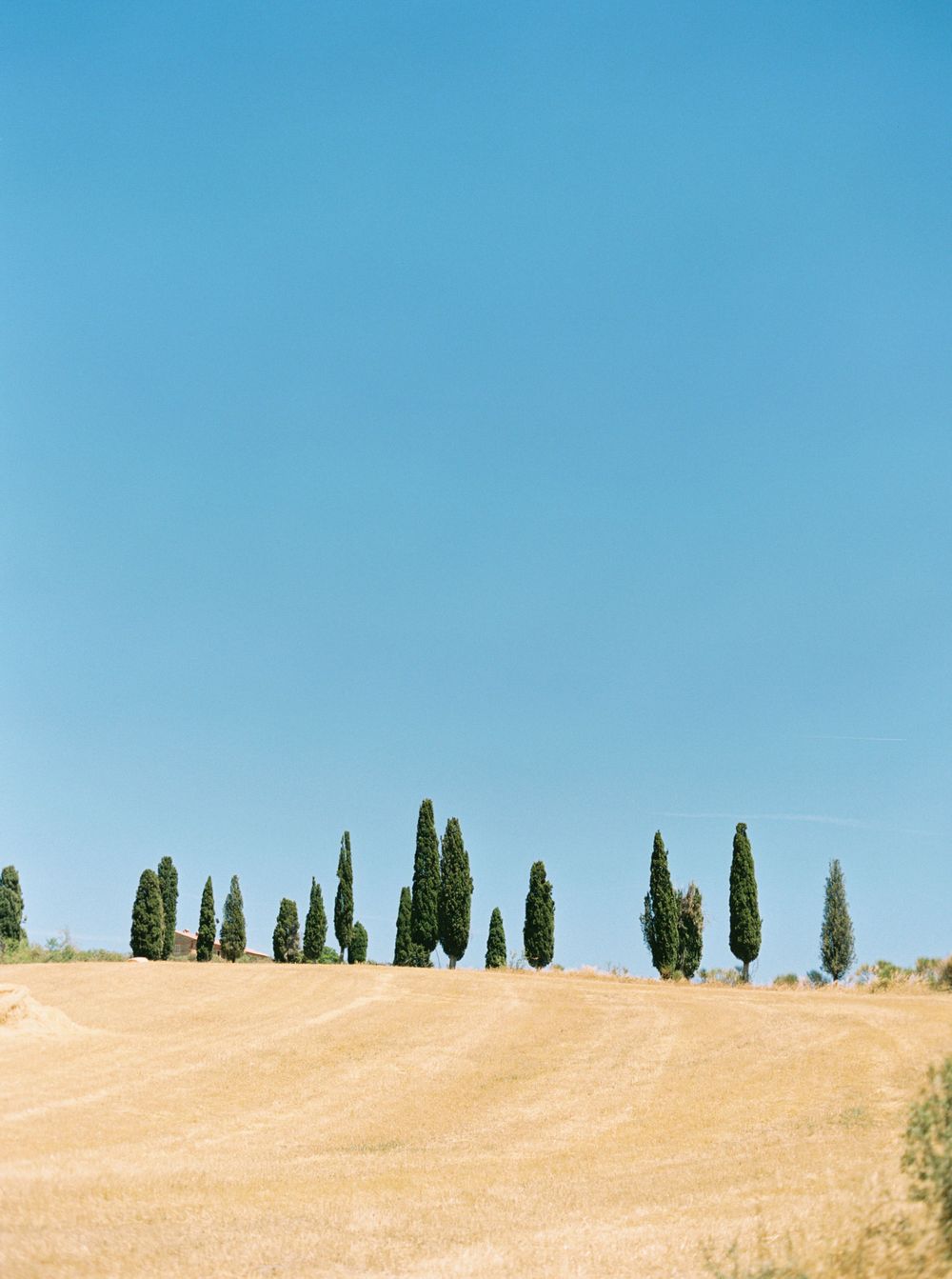 Idyllic Tuscany countryside: a field with trees and a serene blue sky at La Bandita Countryhouse.