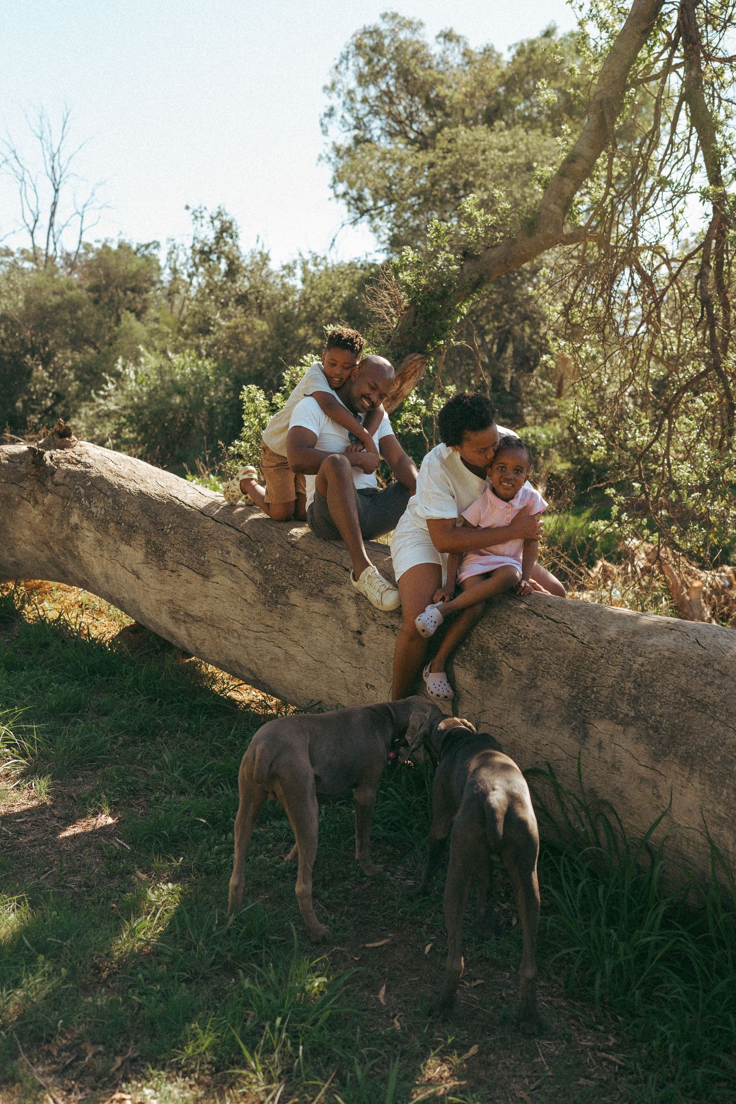 People sitting and relaxing on a fallen tree trunk in a sunlit natural setting.