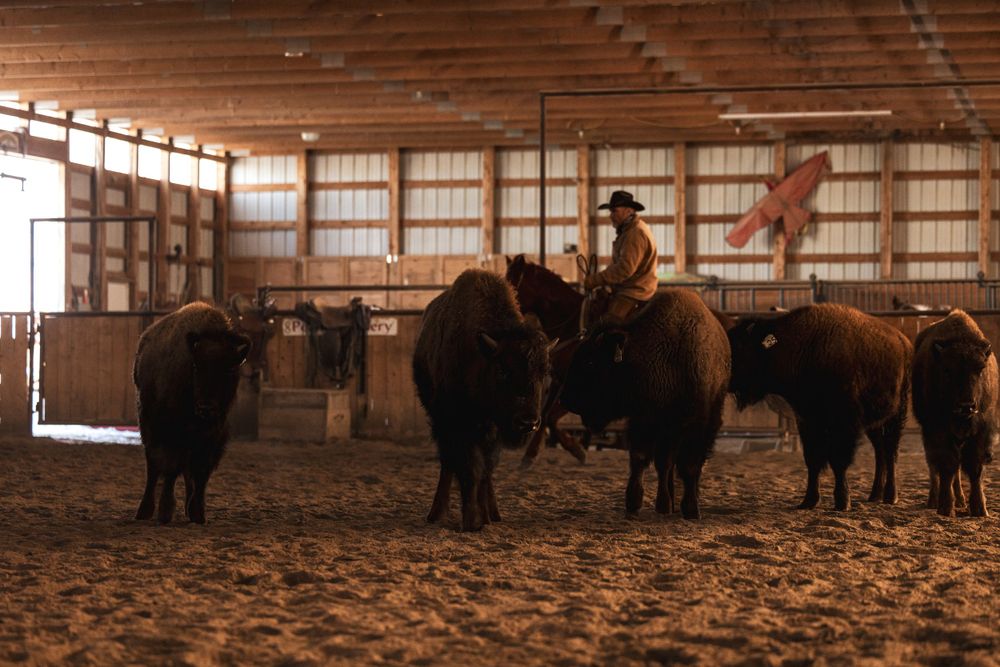 Key Ranch - Wildrose Imagery