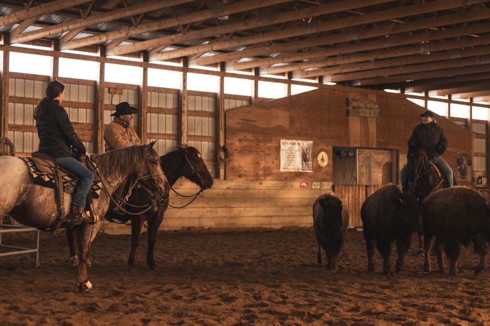 Key Ranch - Wildrose Imagery