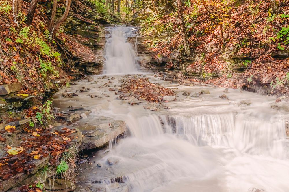 Free Flow, was taken in a trail in Northern New York. It felt truly magical taking a long exposure, trying not to fall in the flow of water.