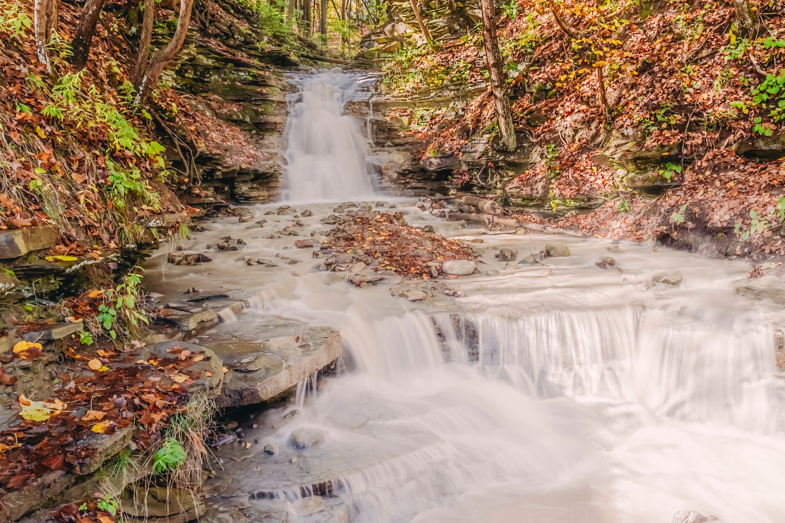 Free Flow, was taken in a trail in Northern New York. It felt truly magical taking a long exposure, trying not to fall in the flow of water.