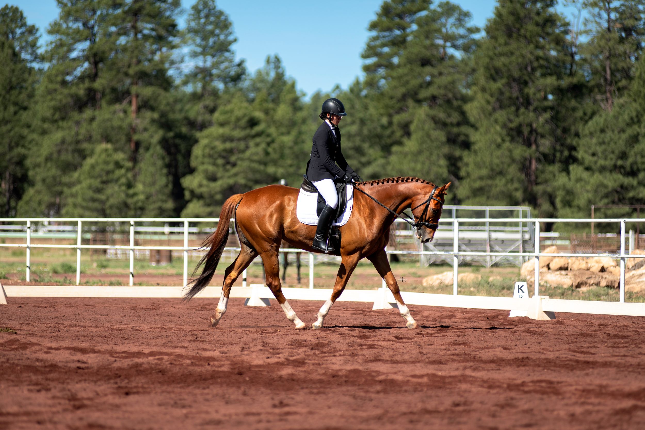 Horse and rider practicing dressage movements in an outdoor arena with white fencing.