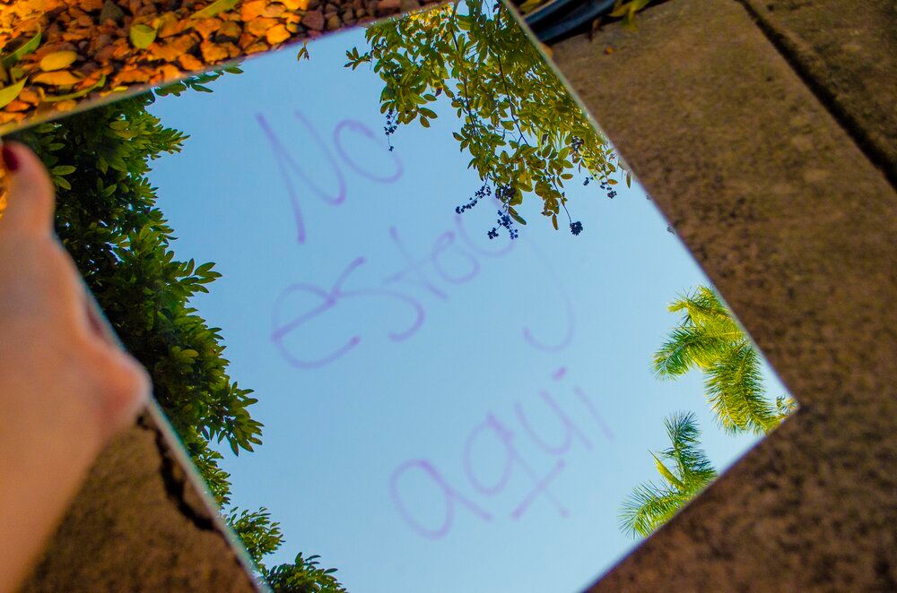 A mirror reflecting green tree branches with purple text written on it.