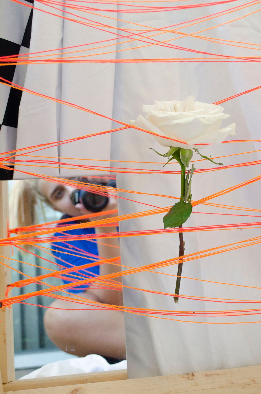 An artistic installation of a white rose suspended by orange strings with a mirror reflection.
